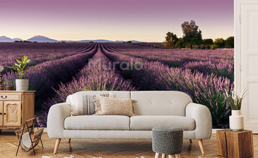 Wizualizacja produktu