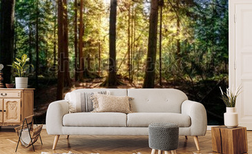 Wizualizacja produktu